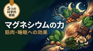 マグネシウムの力（筋肉・睡眠への効果）— マグネシウムと筋肉・睡眠