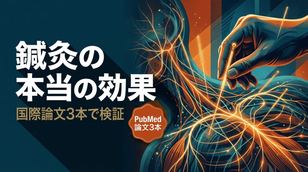 鍼灸の本当の効果（国際論文3本で検証）— 鍼灸の効果と仕組みを徹底解説