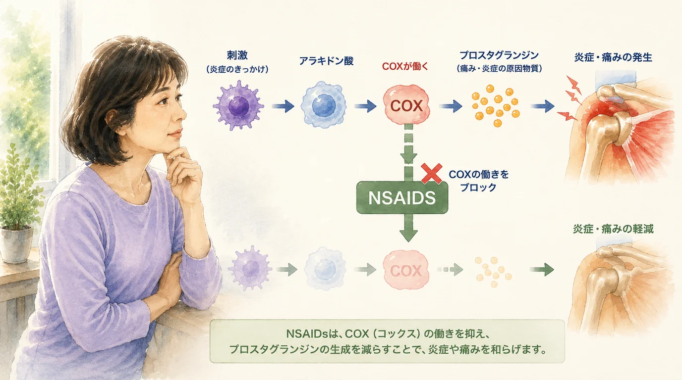 NSAIDsのしくみ：COX阻害→プロスタグランジン減少→炎症軽減